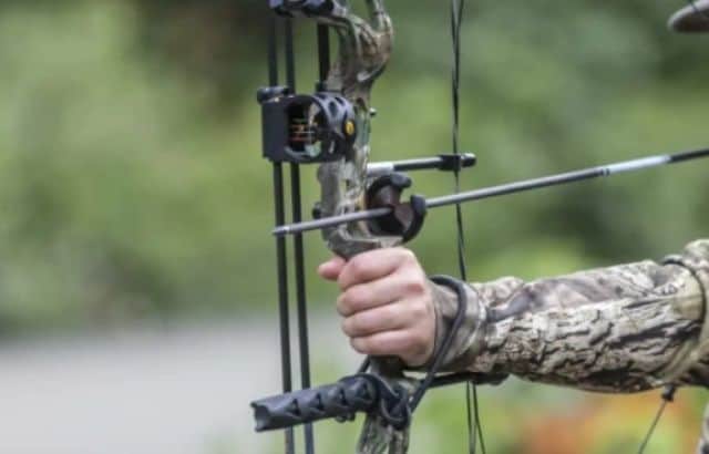 Best Arrow Rest for Compound Bow Hunting | Top 7 Picks & Buyers Guide