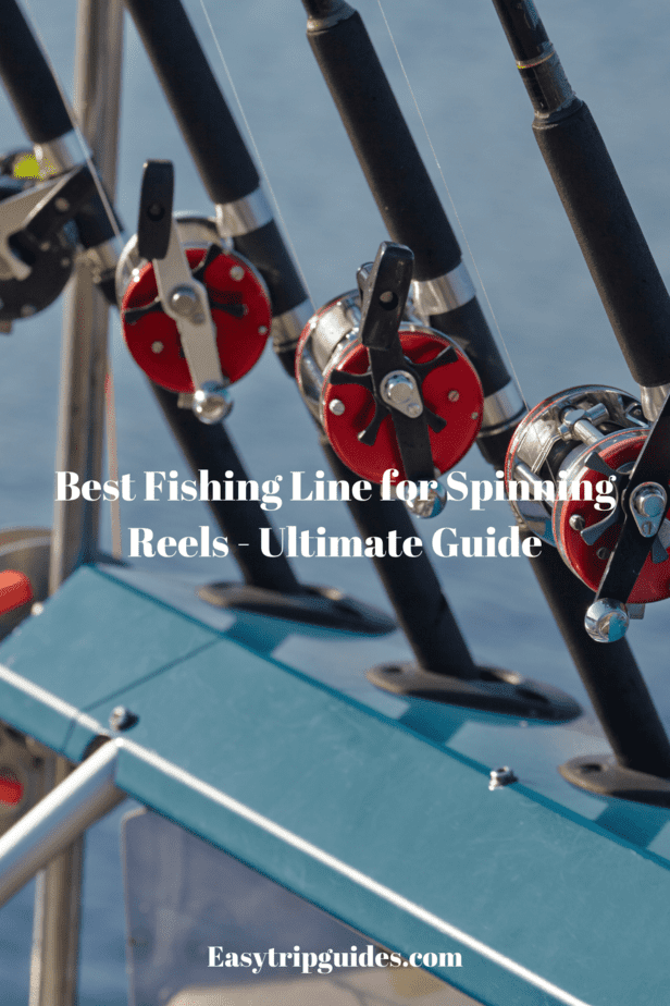 Best Fishing Line for Spinning Reels Ultimate Guide on 2020